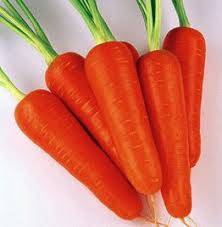 Морковка абака семена семена цветов сад